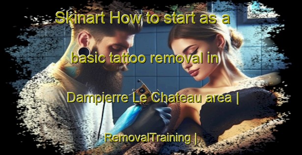 Skinart How to start as a basic tattoo removal in Dampierre Le Chateau area | RemovalTraining | RemovalClasses | SkinartTraining-France